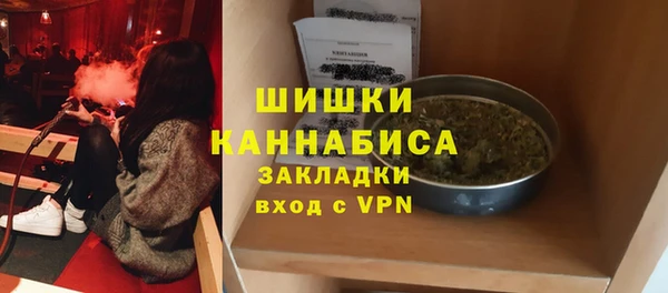 прущие грибы Балахна