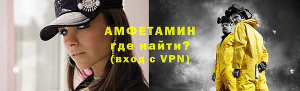 прущие грибы Балахна