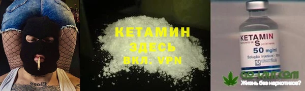 прущие грибы Баксан