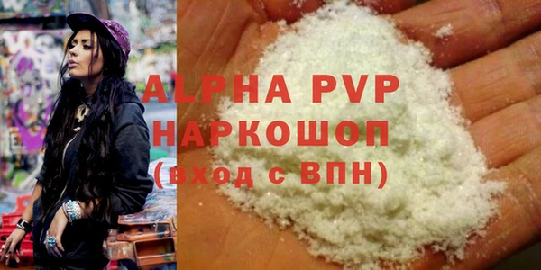 прущие грибы Баксан