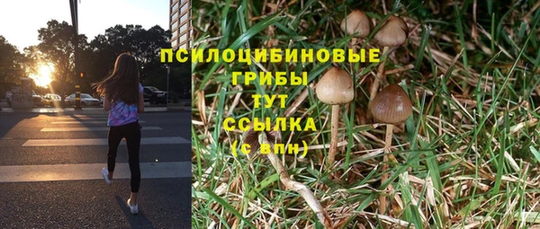 прущие грибы Баксан