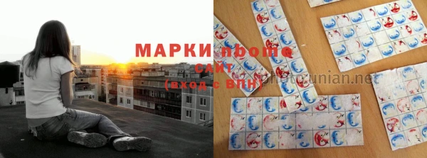 прущие грибы Балахна