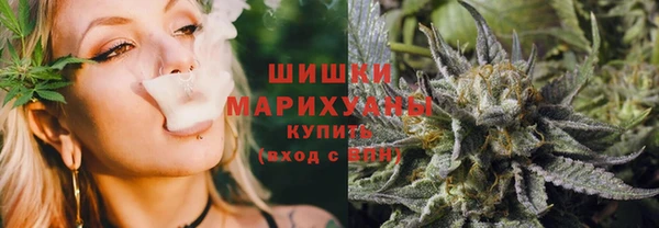 прущие грибы Балахна
